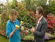 Alan Titchmarsh interviews burncoose nurseries for the Chelsea 2010 television coverage.