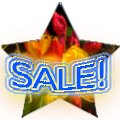 Sale! Sale!