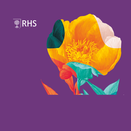 Over the Garden Hedge!