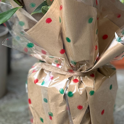 gift wrapped plant