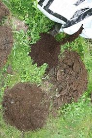 Prepare compost, leaf mould, manure & ideally fertiliser (vitax A4)