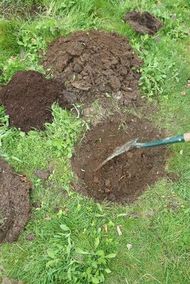 Break up the soil at the bottom of your hole