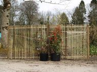 lath shelter fencing