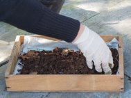 3 compost with grit
