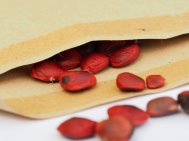 4 Smaller seeds in bags or envelopes 