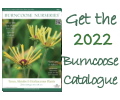 Order the 2022 Burncoose Catalogue