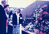 1995 - Media Coverage