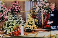 1995 - Media Coverage