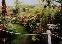 1995 - Gold & Silver Gilt Medals