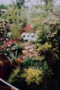 1995 - Gold & Silver Gilt Medals