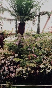 1995 - Gold & Silver Gilt Medals