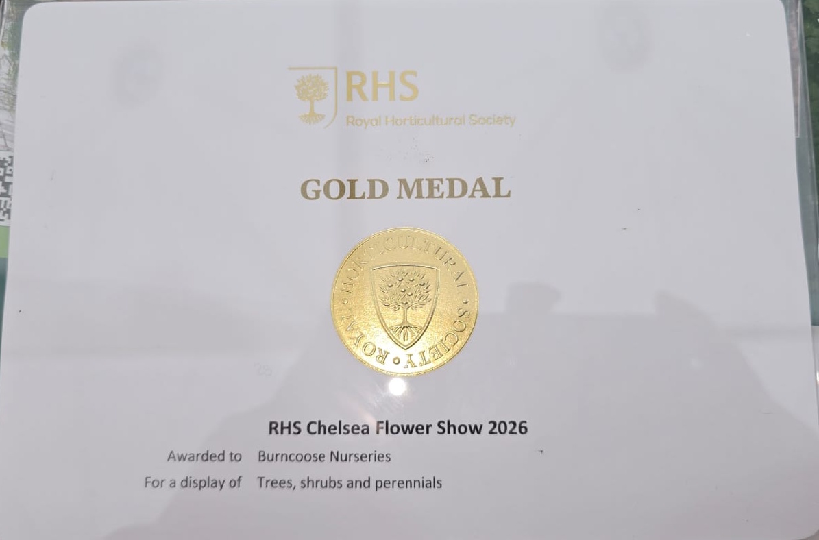Handpicked hotels and Grow. Gold Medal