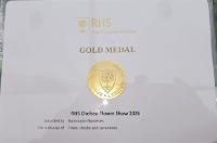 Gold Medal 2026