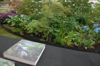 Magnolia Book