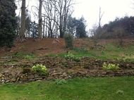 Spring Gardens cleared ready for planting