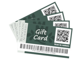 Gift Vouchers