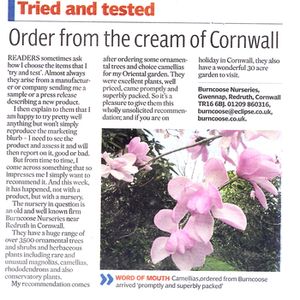 news article 
