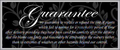 Our Guarantee