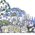 blue flowering plants