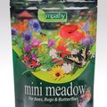 Wildflower Mini Meadow