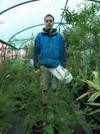 Protecting Ceanothus