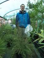 Protecting Leptospermum