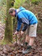 Protecting spring Bulbs