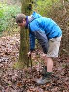 Protecting spring Bulbs