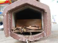 Cleaning nesting boxes