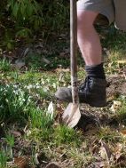 find suitable clump to split