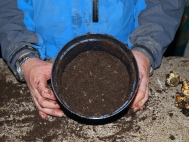 1.	Half fill pot with compost