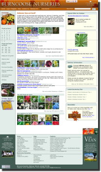 Burncoose Nurseries Website Screenshot