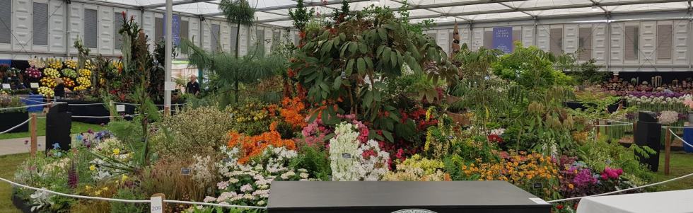 Burncoose Stand - Chelsea 2018 