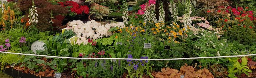 Burncoose Stand - Chelsea 2018 