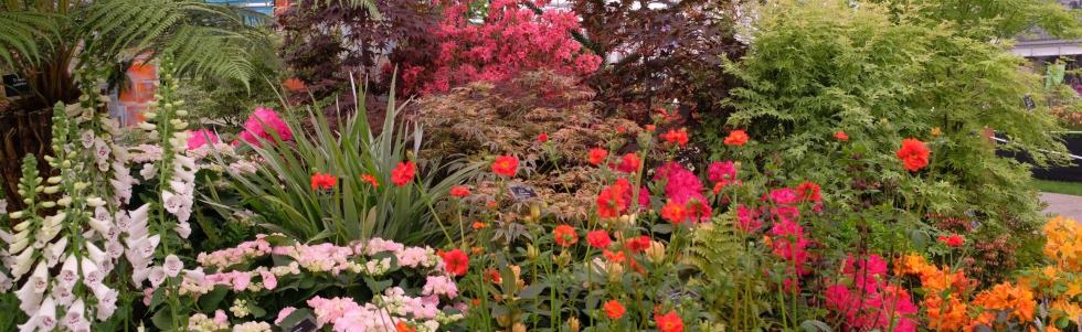 Chelsea 2018 - Silver Gilt Medal awarded 