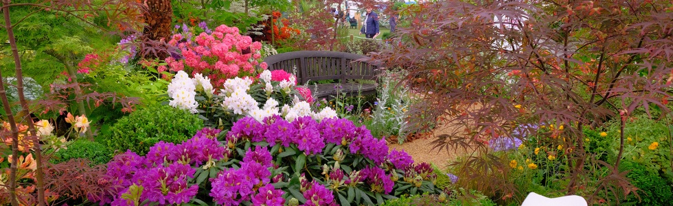 Burncoose Stand - Chelsea 2019 