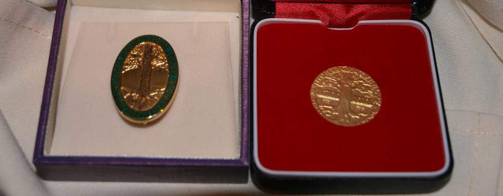 VMH Medal 